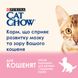 Сухий корм CAT CHOW Kitten для кошенят з куркою 15 кг