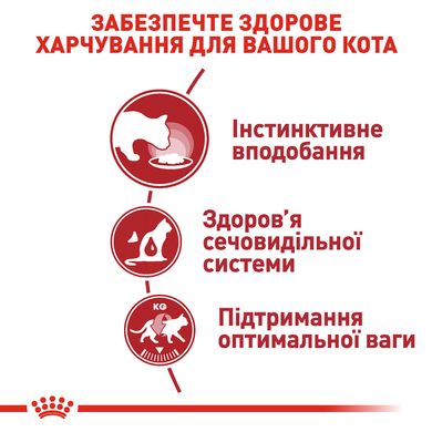 Упаковка вологого корму для дорослих котів ROYAL CANIN INSTINCTIVE IN GRAVY 85 г x 12 шт.