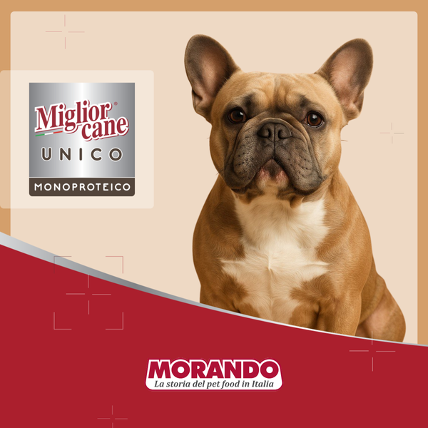 Консерви для собак Morando Miгliorcane UNICO Rustic яловичина 400 г 03362 фото