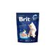 Сухий корм для кошенят Brit Premium Kitten з куркою 300 г