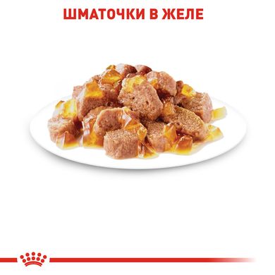 Упаковка вологого корму для дорослих котів ROYAL CANIN INSTINCTIVE IN JELLY 85 г x 12 шт.