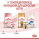 Вологий корм для котів Royal Canin KITTEN LOAF 85 г 41450011 фото 12