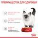 Вологий корм для котів Royal Canin KITTEN LOAF 85 г 41450011 фото 6